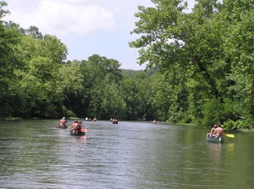 A serene river scene with several people kayaking among lush green trees under a partly cloudy sky.