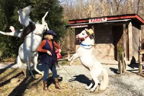 A woman in a cowboy hat interacts with a rearing white horse near a rustic jail building.