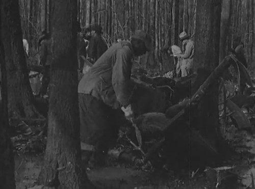 Workers in a forest clearing debris, with trees in the background and others observing or taking notes.