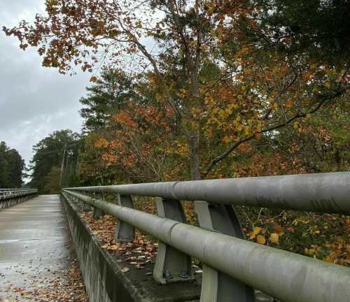 A concrete bridge lined with a metal railing, surrounded by trees with autumn leaves under a cloudy sky.