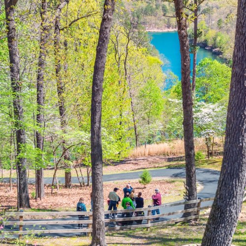 A group of people gathered near a serene lake, surrounded by lush green trees and a clear blue sky.