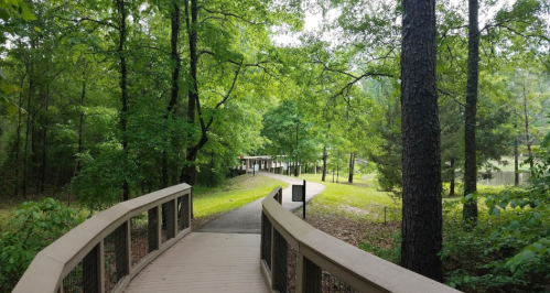 A wooden bridge leads through lush green trees to a winding path by a serene pond.