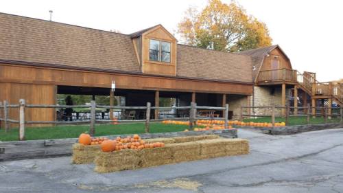 A rustic building with wooden siding, surrounded by hay bales and pumpkins, set in a rural outdoor area.