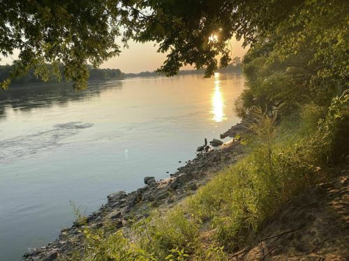 Sunset over a calm river, with trees framing the scene and a rocky shore lined with greenery.