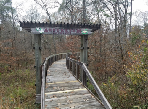 Wooden walkway leading into a forested area, marked by an "Arboretum" sign at the entrance.