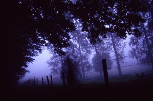 A misty landscape with blurred trees and a shadowy figure near a barbed wire fence, creating an eerie atmosphere.