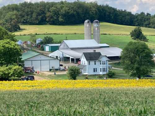 A scenic farm with silos, a white house, and fields of yellow flowers in the foreground, surrounded by green hills.