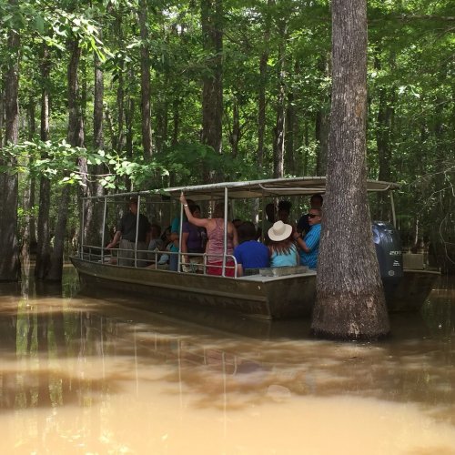 A crowded boat navigates through a lush, green swamp surrounded by trees and calm water.