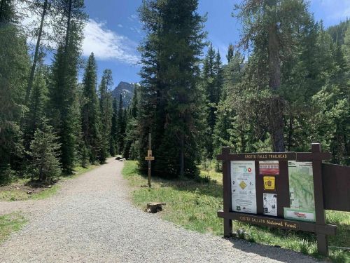 A gravel trail leads through a forest, with a trailhead sign and mountains visible in the background under a blue sky.