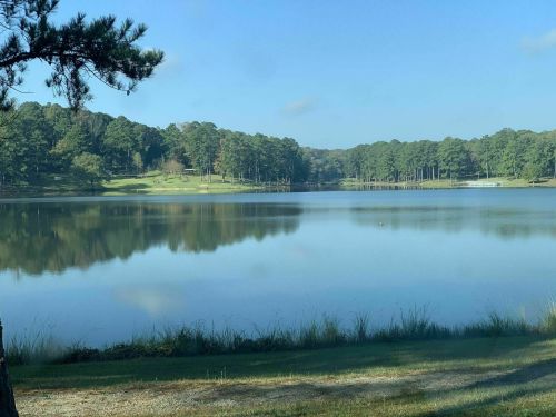 A serene lake surrounded by lush green trees, reflecting the clear blue sky and calm water.