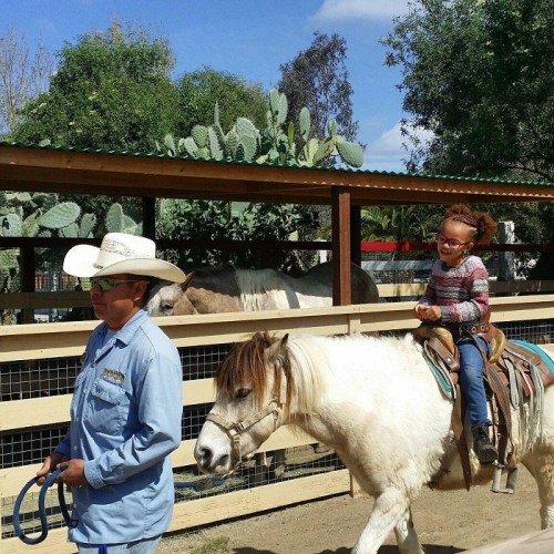 A child rides a pony while an adult in a cowboy hat stands nearby, with cacti and horses in the background.