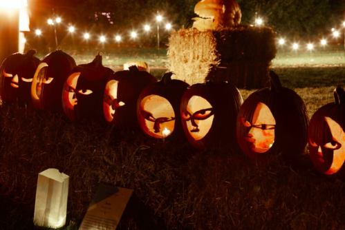 A row of carved pumpkins with eerie faces, illuminated from within, set against a festive outdoor backdrop.