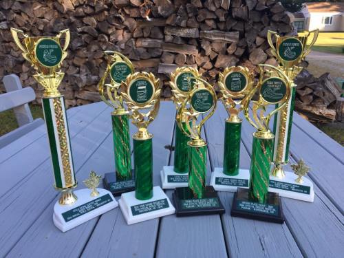A collection of ten green and gold trophies displayed on a table, with a woodpile in the background.