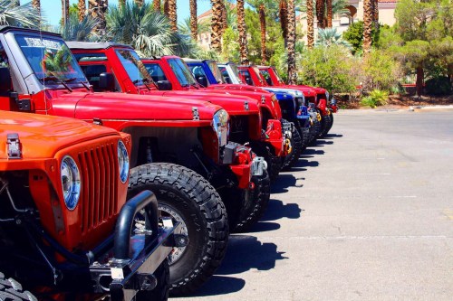A row of colorful off-road vehicles parked under palm trees in a sunny location.