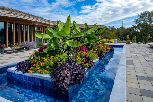 A vibrant garden with colorful flowers and lush plants surrounding a blue-tiled water feature under a cloudy sky.