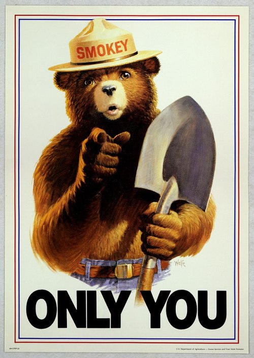 A bear in a ranger hat points with a shovel, promoting fire safety with the text "ONLY YOU."