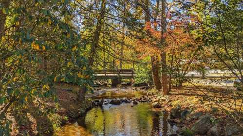 A serene stream flows through a wooded area with autumn foliage and a small wooden bridge in the background.
