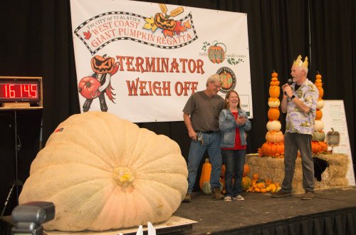 A large pumpkin is weighed at a festival, with participants celebrating and a banner reading "Terminator Weigh Off" in the background.