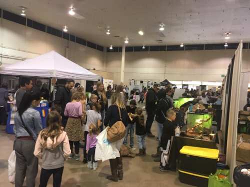 A busy indoor event with families and children exploring booths and displays, including a reptile exhibit.