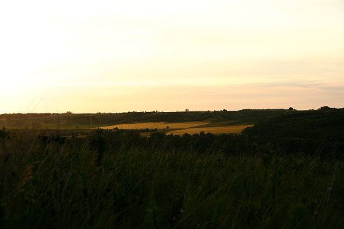 A serene landscape at sunset, featuring rolling hills and fields bathed in warm golden light.