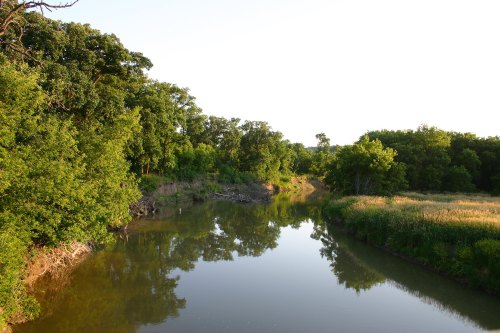 A serene river flows through lush greenery, reflecting the trees and sky in calm waters under soft sunlight.