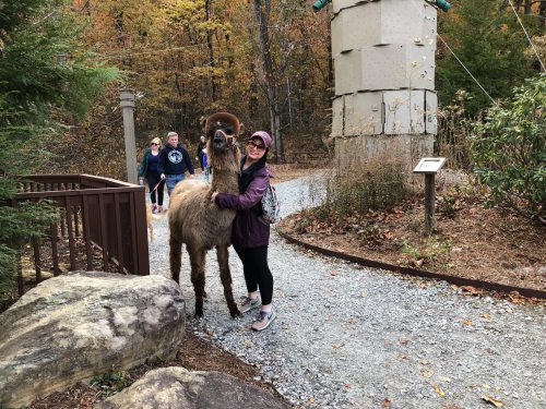 A person in a purple jacket hugs a goat near a trail, with autumn trees and visitors in the background.