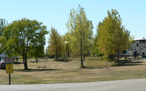 A grassy campsite with trees, picnic tables, and RVs under a clear sky. A sign indicates camping rules nearby.