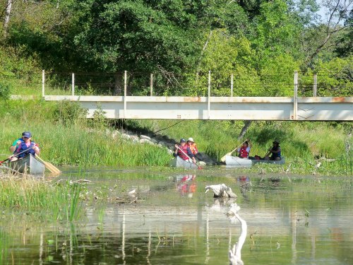 A group of people canoeing in a lush, green area under a small bridge.