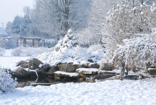 A serene winter landscape with snow-covered trees, rocks, and a frozen pond, creating a peaceful, white scene.