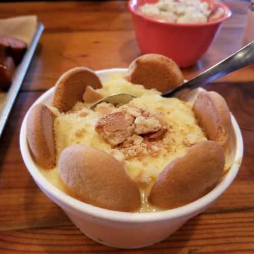 A dessert bowl filled with creamy pudding, topped with crushed cookies and whole cookies arranged around the edge.