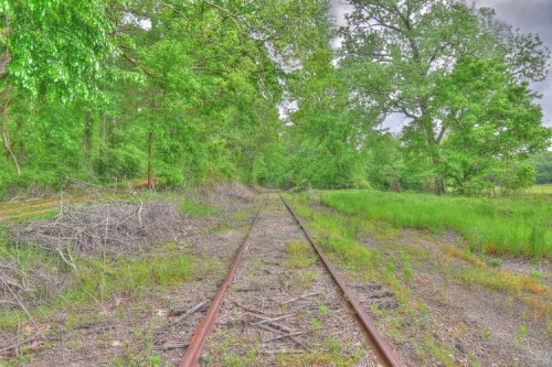 Overgrown railway tracks surrounded by lush greenery and trees under a cloudy sky.