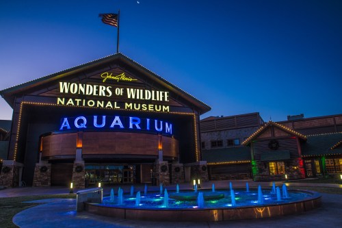 Exterior of the Wonders of Wildlife National Museum at dusk, featuring a fountain and illuminated signage.
