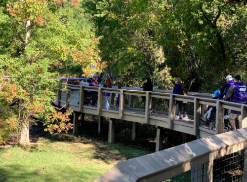 A group of people walking on a wooden boardwalk surrounded by trees in a sunny outdoor setting.