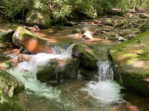 A serene stream flows over moss-covered rocks in a lush, green forest.