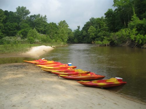 A row of red and yellow kayaks lined up on a sandy riverbank surrounded by lush green trees.