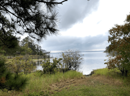 A serene lakeside view with cloudy skies, surrounded by trees and grassy areas.