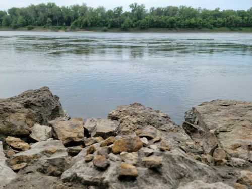 A rocky riverbank with calm water and lush greenery in the background under a cloudy sky.