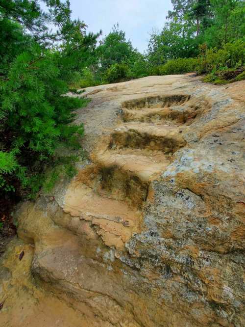 Rocky terrain with carved steps leading up a slope, surrounded by greenery and trees.