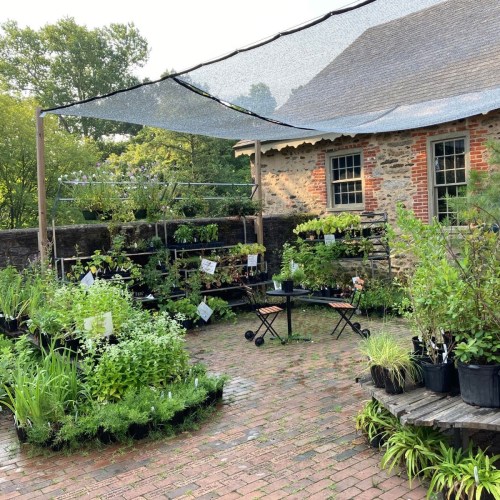 A garden space with potted plants and a shaded seating area, surrounded by greenery and a stone wall.