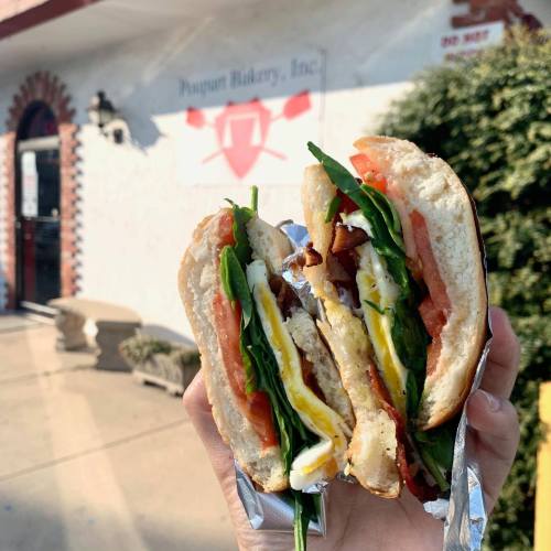 A hand holding a sandwich with layers of bacon, lettuce, tomato, and egg in front of a bakery.