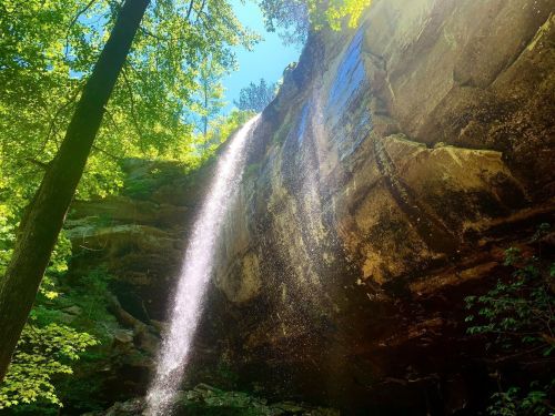 A waterfall cascades down a rocky cliff, surrounded by lush green trees and bright sunlight.