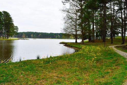 A serene lake surrounded by trees and grassy banks, with a path winding along the water's edge.