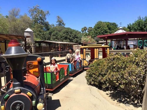 A colorful miniature train with children and adults rides through a sunny park, surrounded by greenery and play areas.
