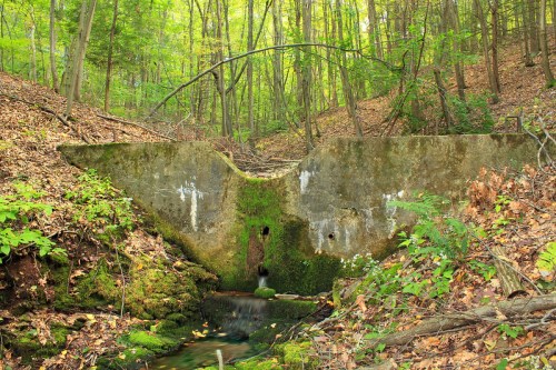 A moss-covered concrete structure in a lush green forest, surrounded by fallen leaves and a small stream.
