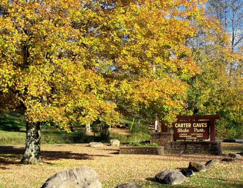 A vibrant autumn scene at Carter Caves State Park, featuring colorful trees and a welcoming park sign.