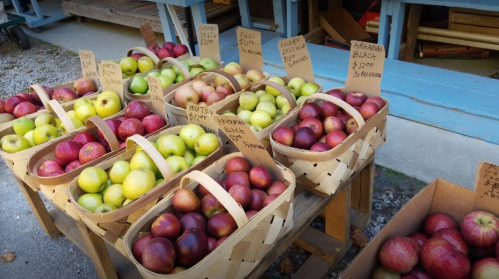 Baskets of colorful apples for sale outside a shop, with handwritten signs indicating prices and varieties.