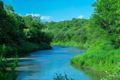 A serene river winding through lush green trees and grass under a clear blue sky.