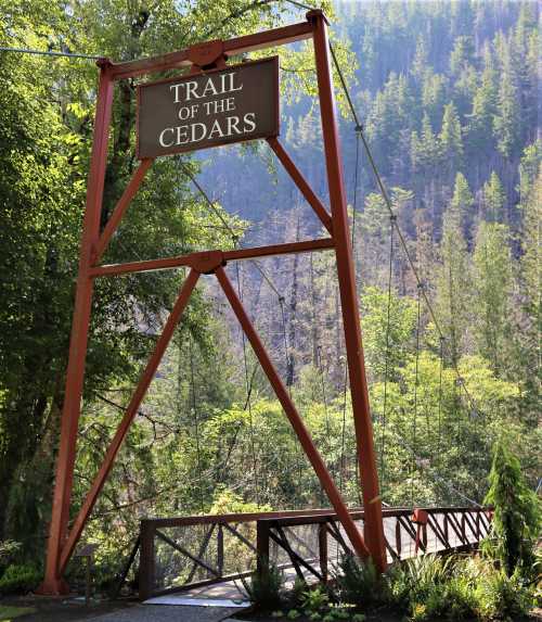 Sign for "Trail of the Cedars" with a bridge surrounded by lush greenery and mountains in the background.