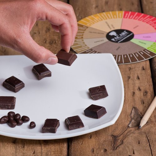 A hand places chocolate pieces on a white plate, with a flavor wheel and pencil nearby on a wooden surface.