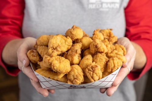 A person holding a tray filled with golden, crispy fried chicken pieces.